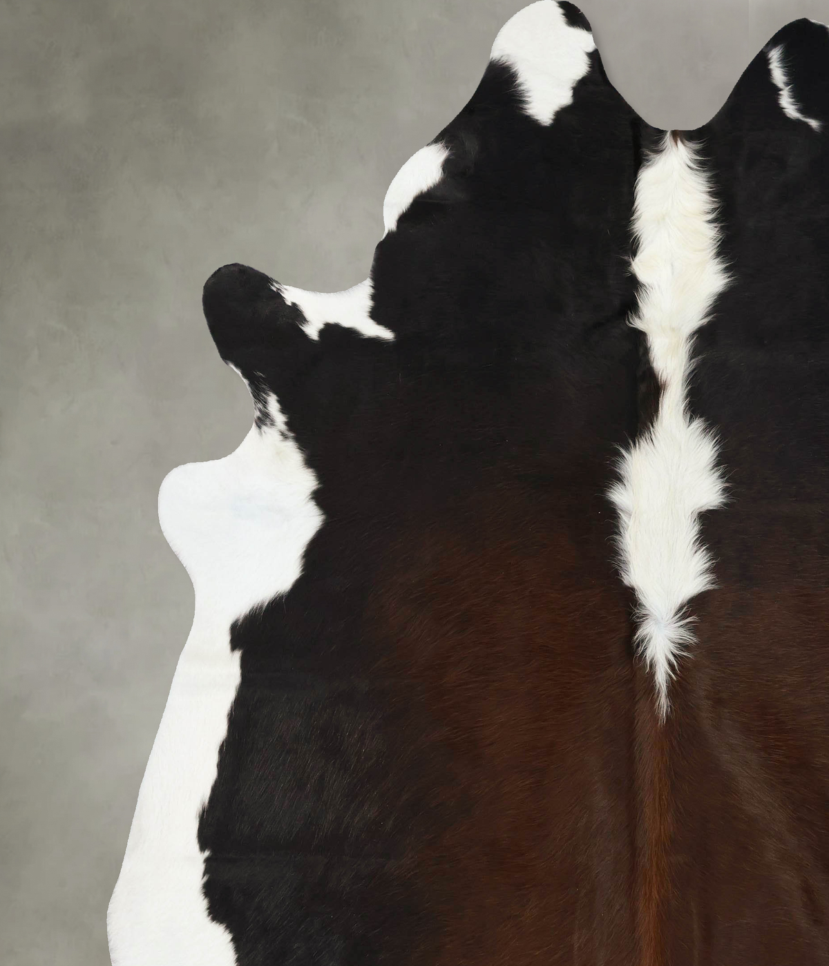 Chocolate and White XX-Large Brazilian Cowhide Rug 8'6"H x 7'3"W #B24587 by Hudson Hides