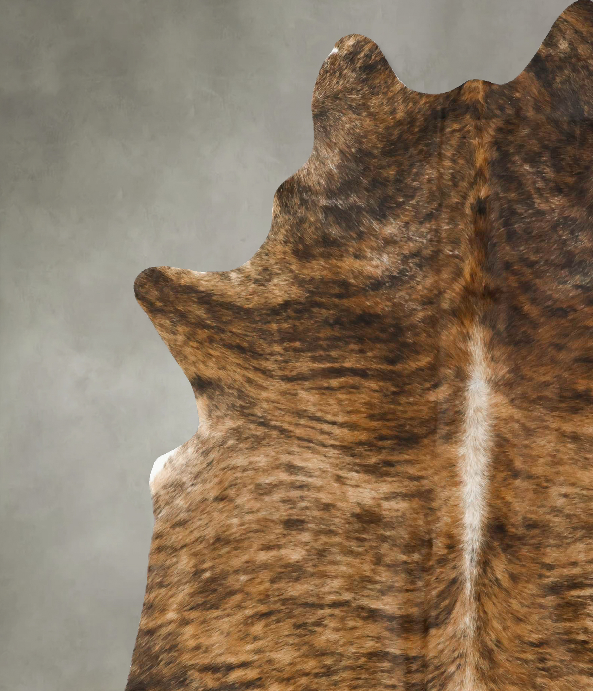 Medium Brindle X-Large Brazilian Cowhide Rug 7'10"H x 6'3"W #B24610 by Hudson Hides