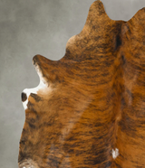 Medium Brindle X-Large Brazilian Cowhide Rug 7'0"H x 6'5"W #B24614 by Hudson Hides