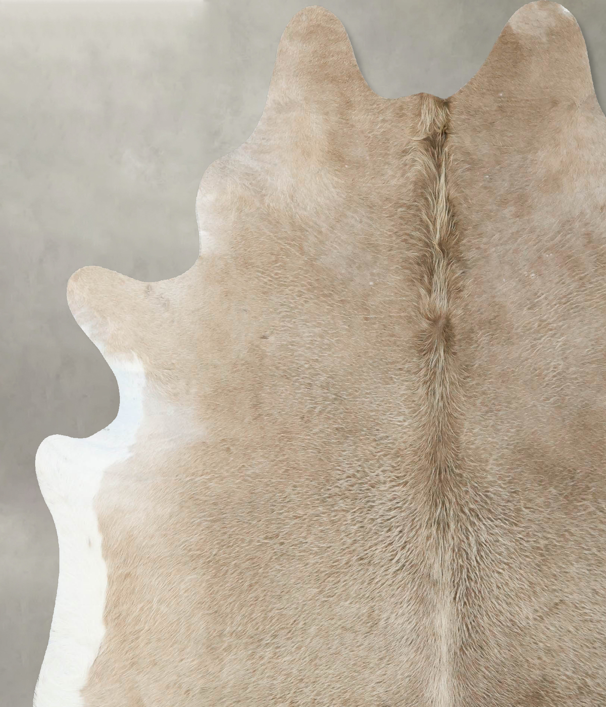 Taupe X-Large Brazilian Cowhide Rug 7'3"H x 6'4"W #B24620 by Hudson Hides