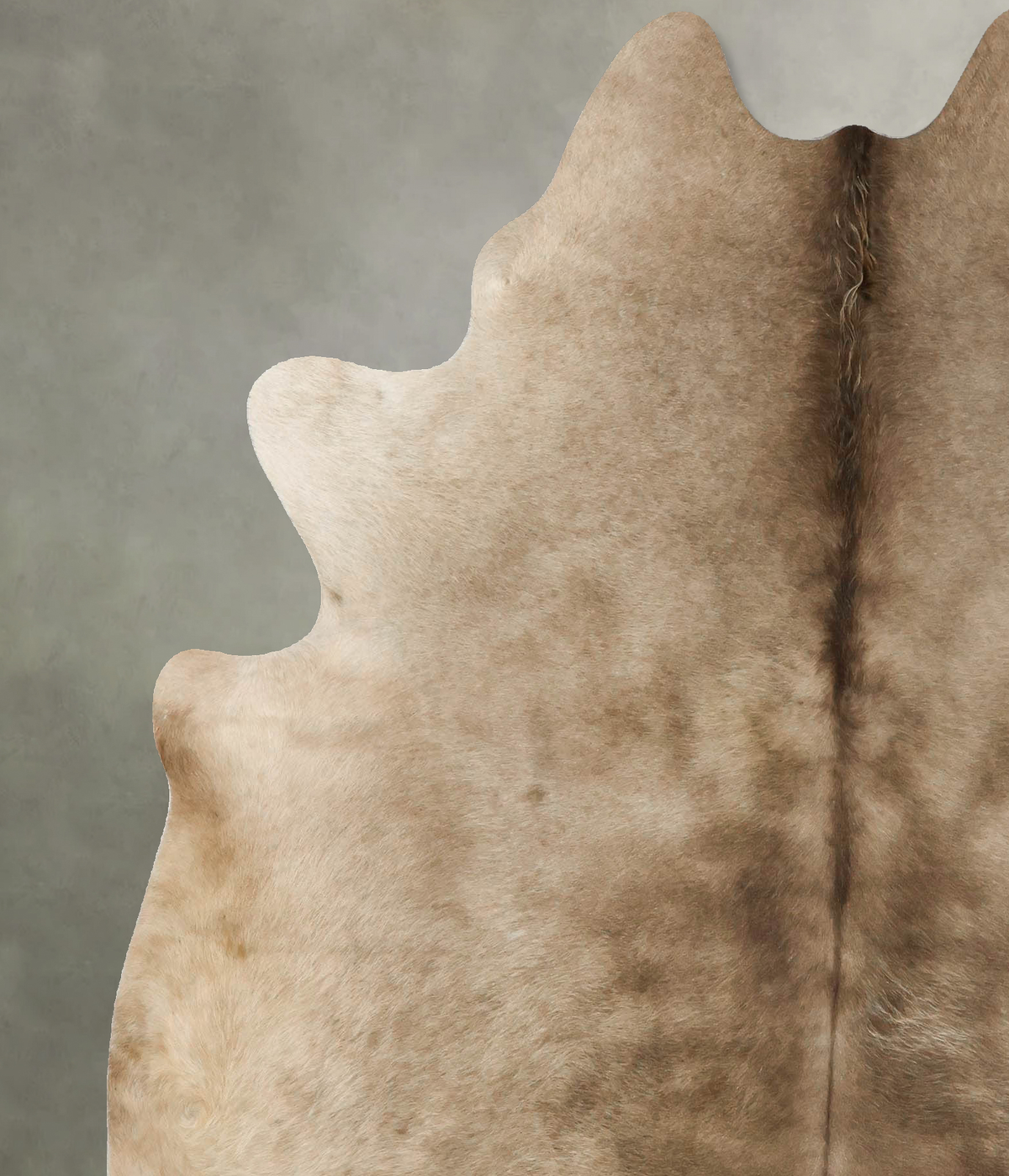 Taupe X-Large Brazilian Cowhide Rug 7'2"H x 6'1"W #B24621 by Hudson Hides