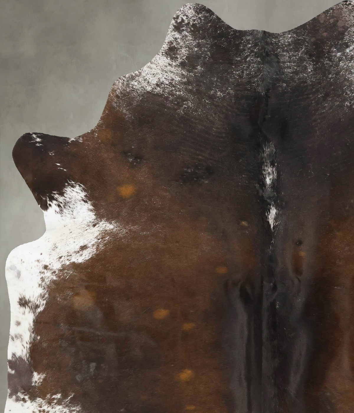 Chocolate and White X-Large Brazilian Cowhide Rug 7'1"H x 5'9"W #B24628 by Hudson Hides