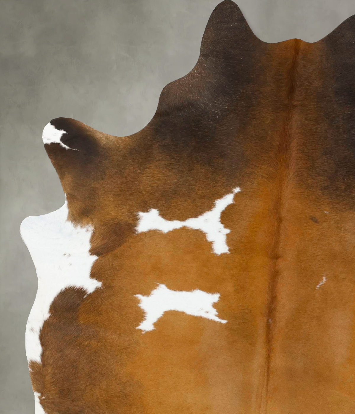 Chocolate and White X-Large Brazilian Cowhide Rug 7'8"H x 6'2"W #B24644 by Hudson Hides