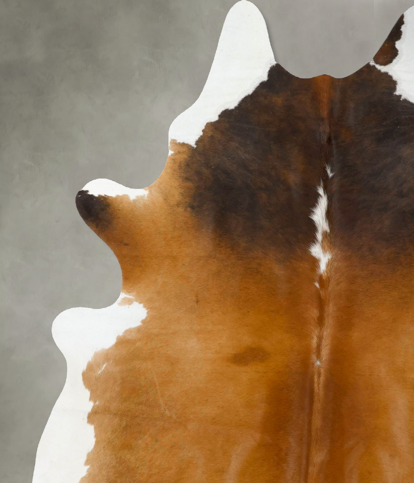Chocolate and White Cowhide Rug #B24645