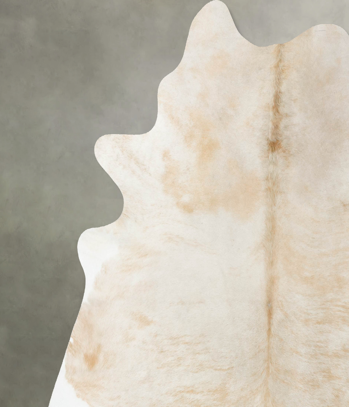 Light Caramel XX-Large Brazilian Cowhide Rug 7'6"H x 7'5"W #B24650 by Hudson Hides