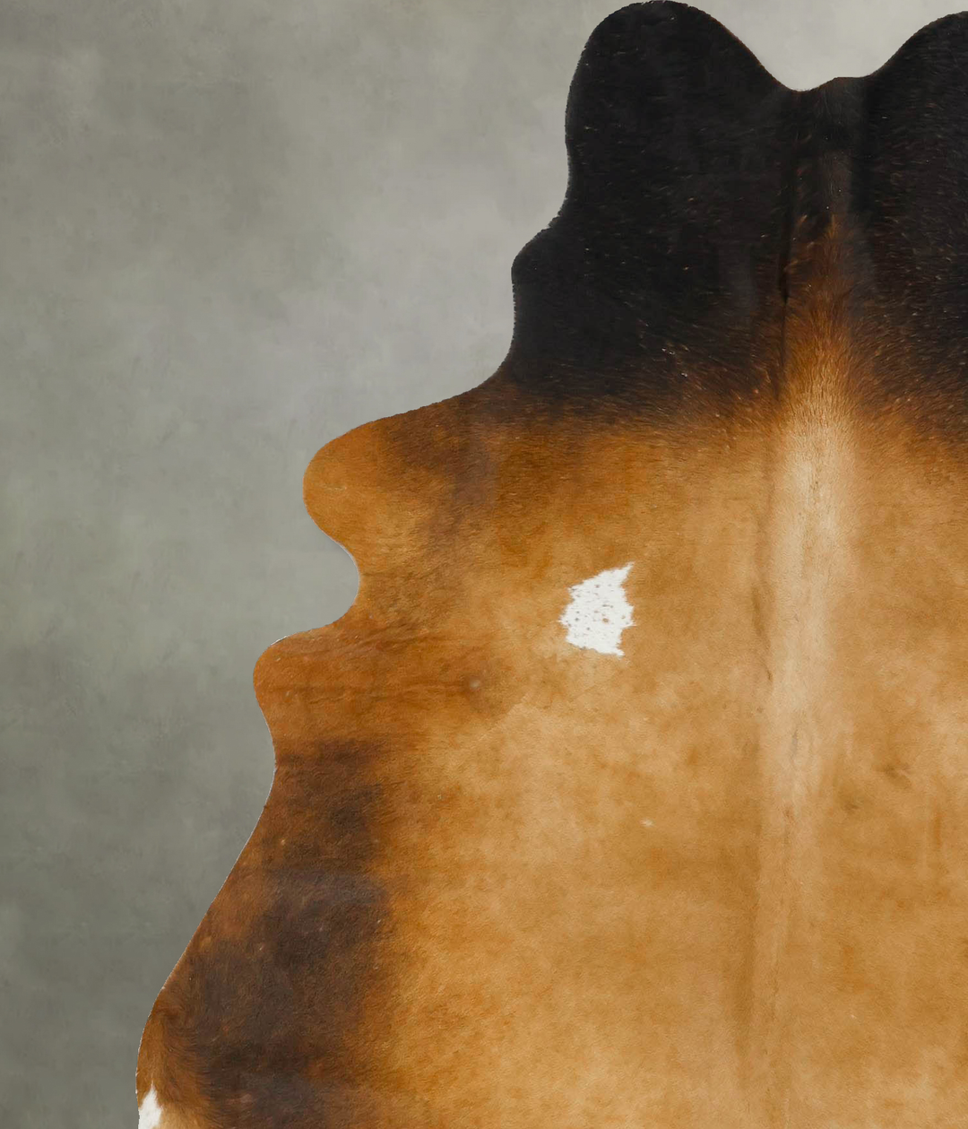 Warm Caramel X-Large Brazilian Cowhide Rug 7'1"H x 5'10"W #B24664 by H