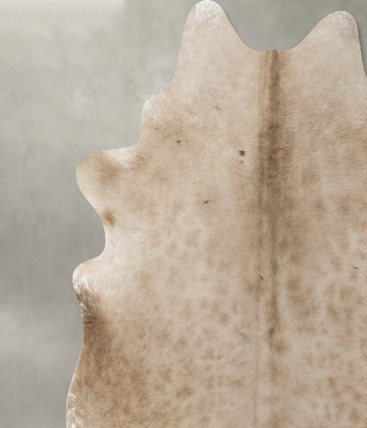 Taupe X-Large Brazilian Cowhide Rug 7'2"H x 6'9"W #B24668 by Hudson Hides