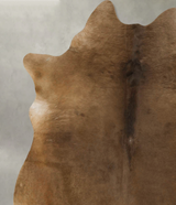 Taupe X-Large Brazilian Cowhide Rug 7'3"H x 6'2"W #B24669 by Hudson Hides