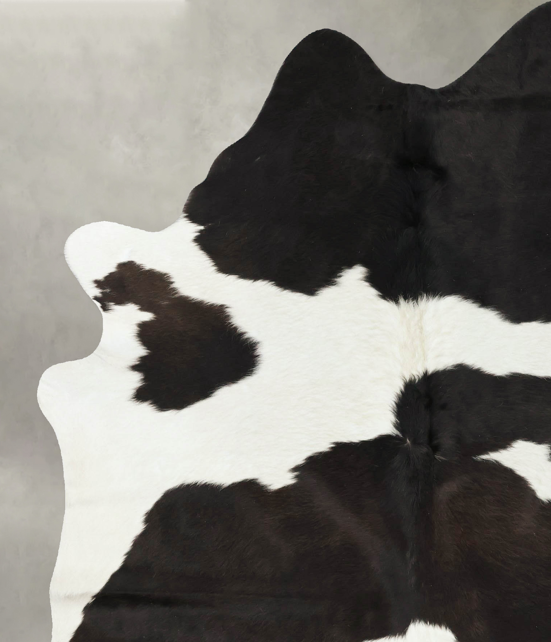 Chocolate and White Cowhide Rug #B24687