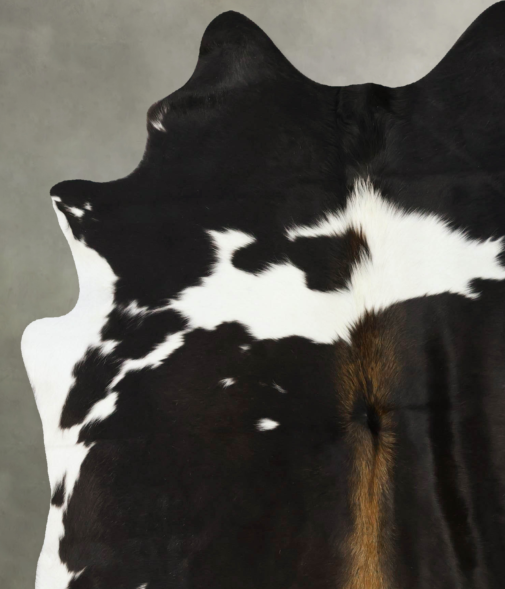Chocolate and White Cowhide Rug #B24690
