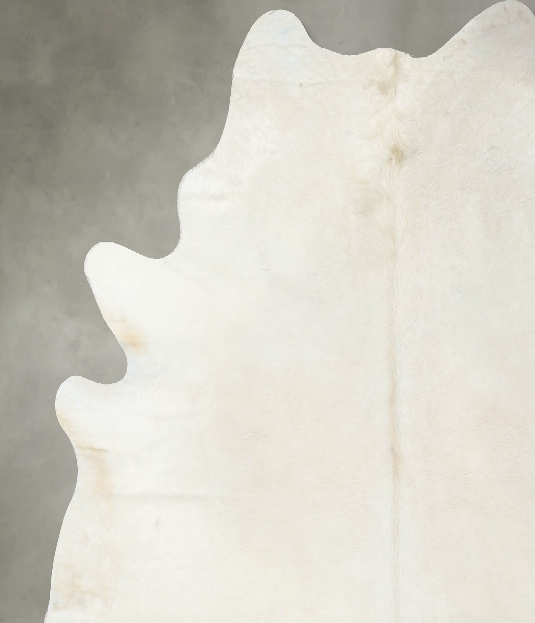 Solid White XX-Large Brazilian Cowhide Rug 8'1"H x 7'3"W #B24692 by Hu