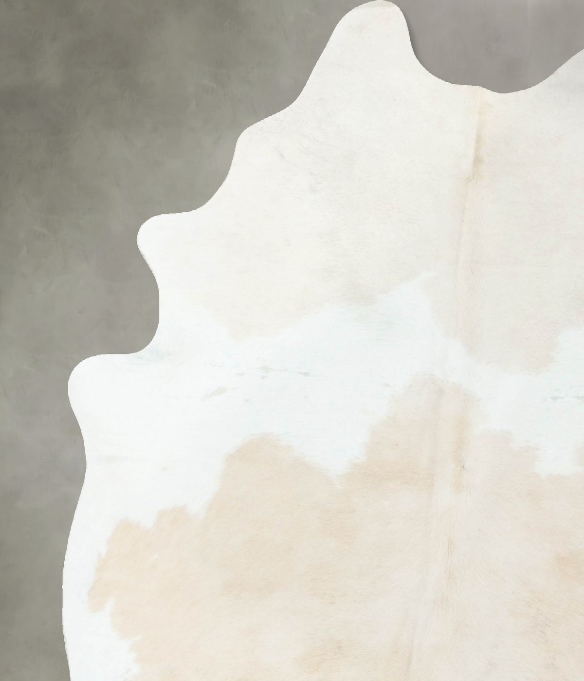 Beige and White XX-Large Brazilian Cowhide Rug 8'5"H x 6'2"W #B24696 by Hudson Hides