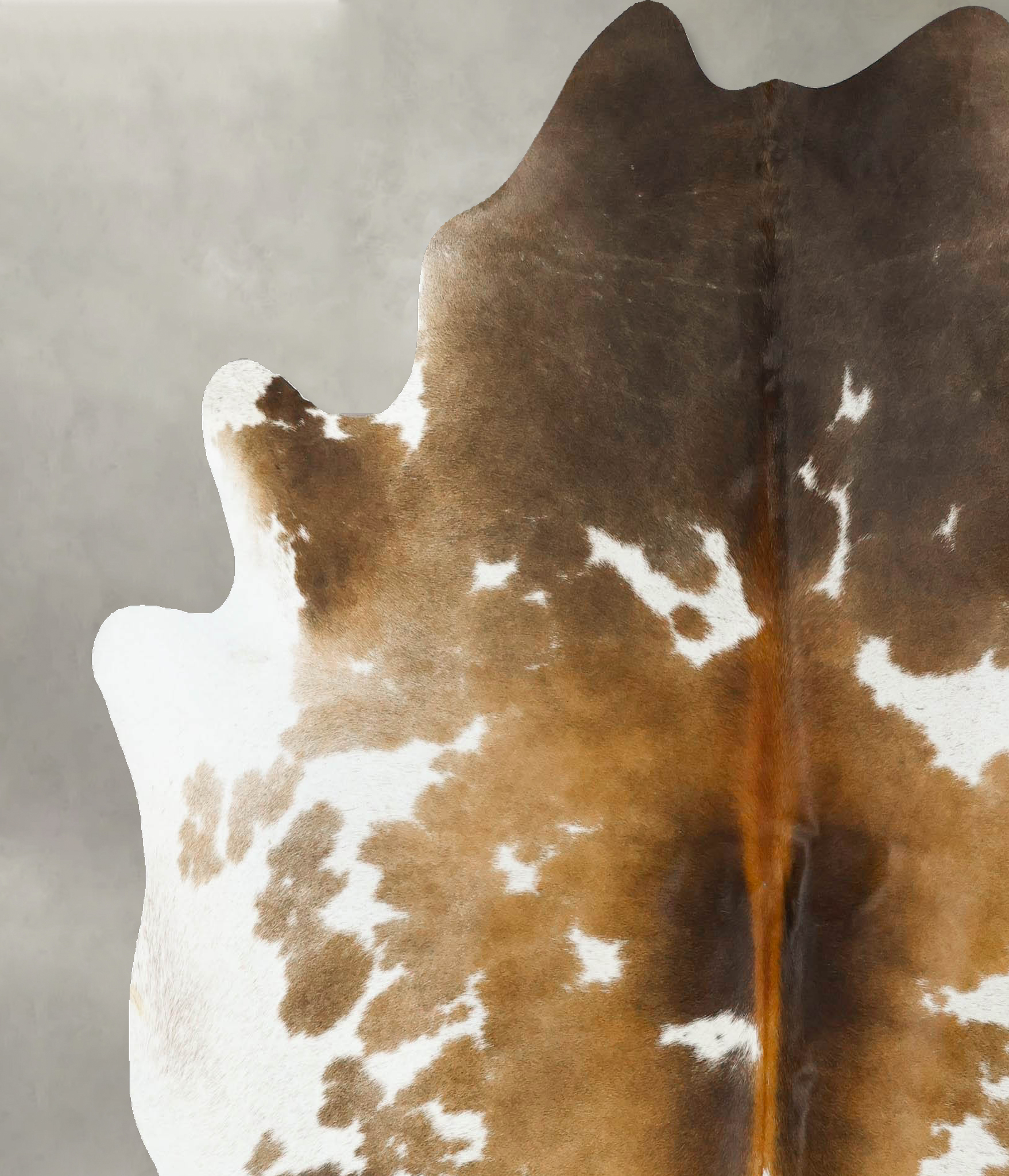 Chocolate and White Cowhide Rug #B24706