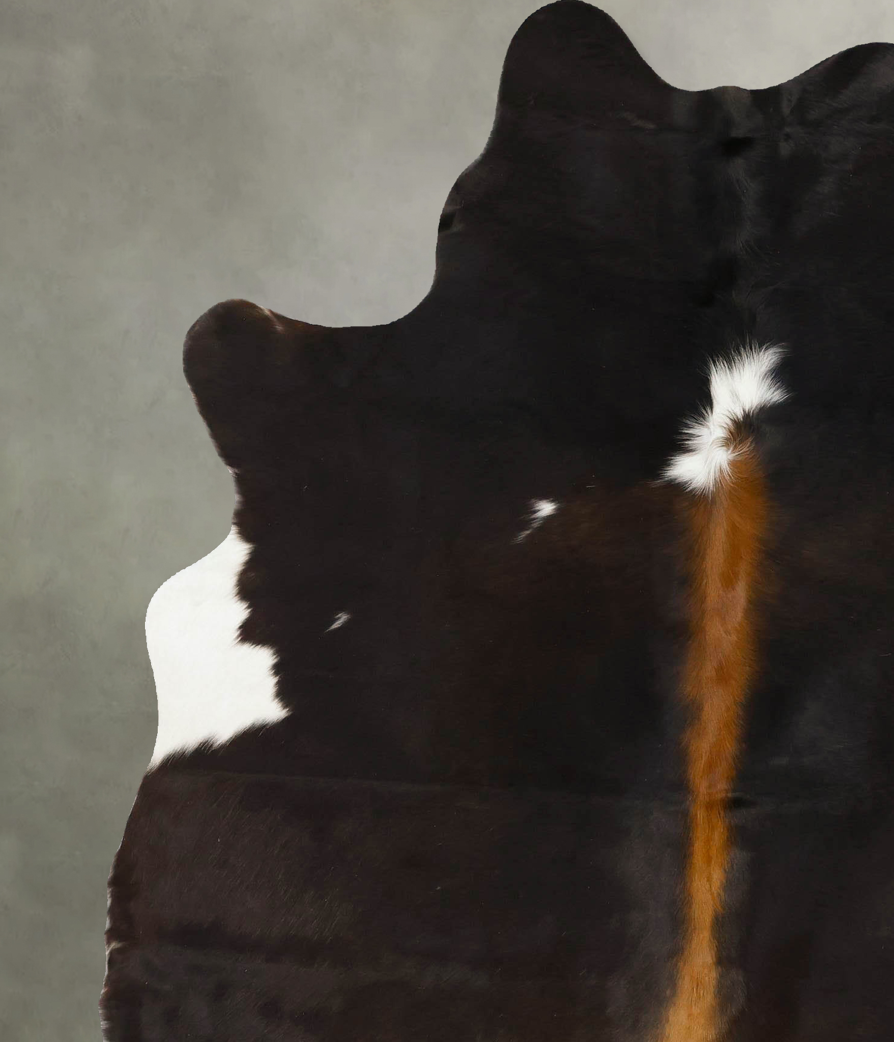 Chocolate and White Cowhide Rug #B24709