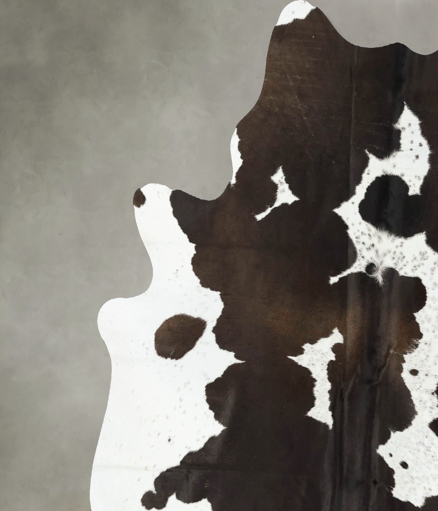 Chocolate and White Cowhide Rug #B24713