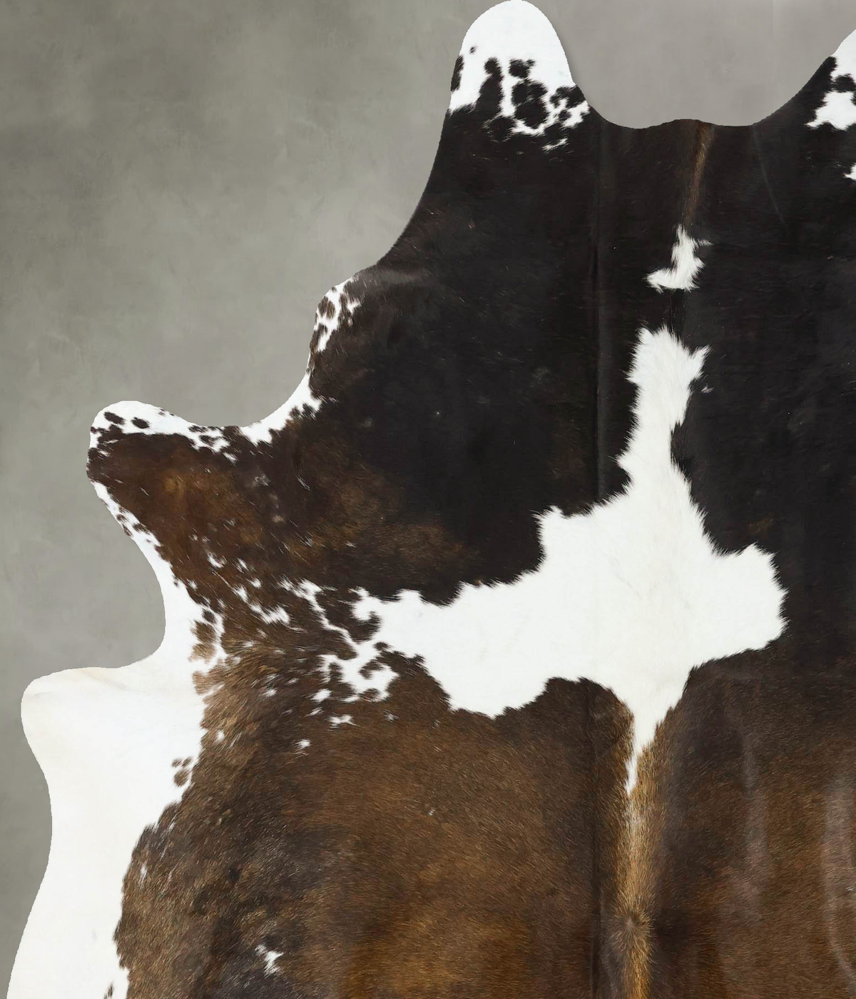 Chocolate and White X-Large Brazilian Cowhide Rug 7'3"H x 6'1"W #B24717 by Hudson Hides