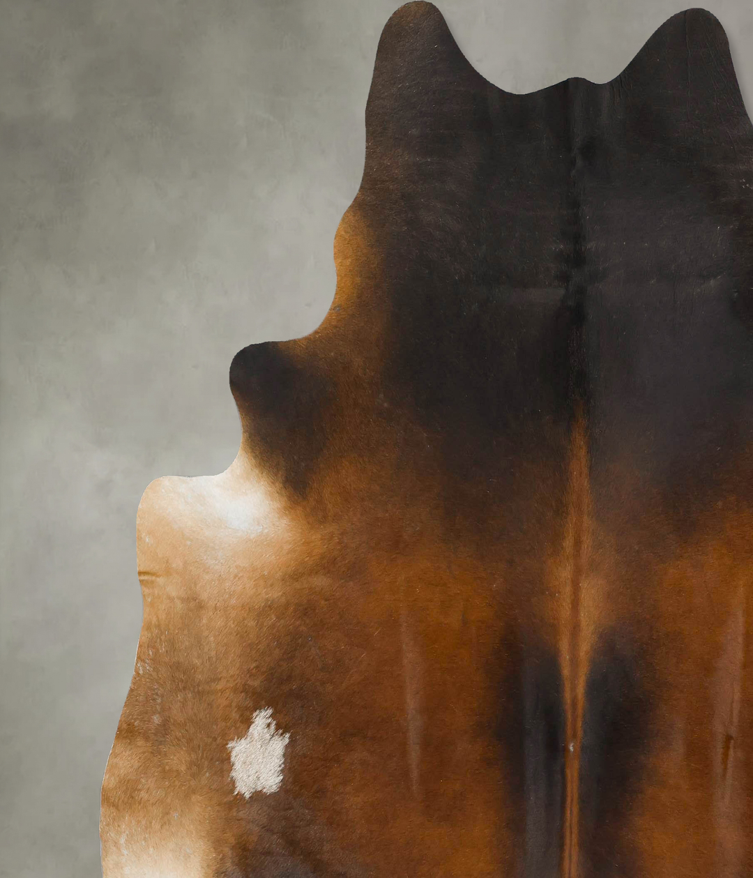 Warm Caramel XX-Large Brazilian Cowhide Rug 7'3"H x 7'1"W #B24720 by H