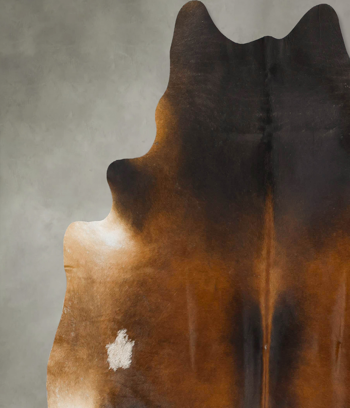 Warm Caramel XX-Large Brazilian Cowhide Rug 7'3"H x 7'1"W #B24720 by Hudson Hides