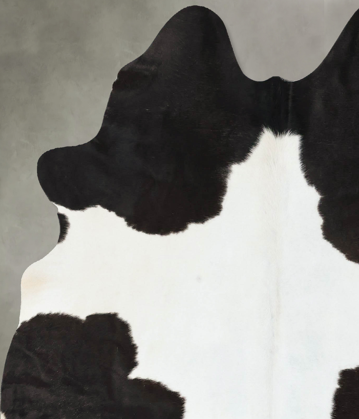 Black and White Large Brazilian Cowhide Rug 6'1"H x 5'4"W #B24724 by Hudson Hides
