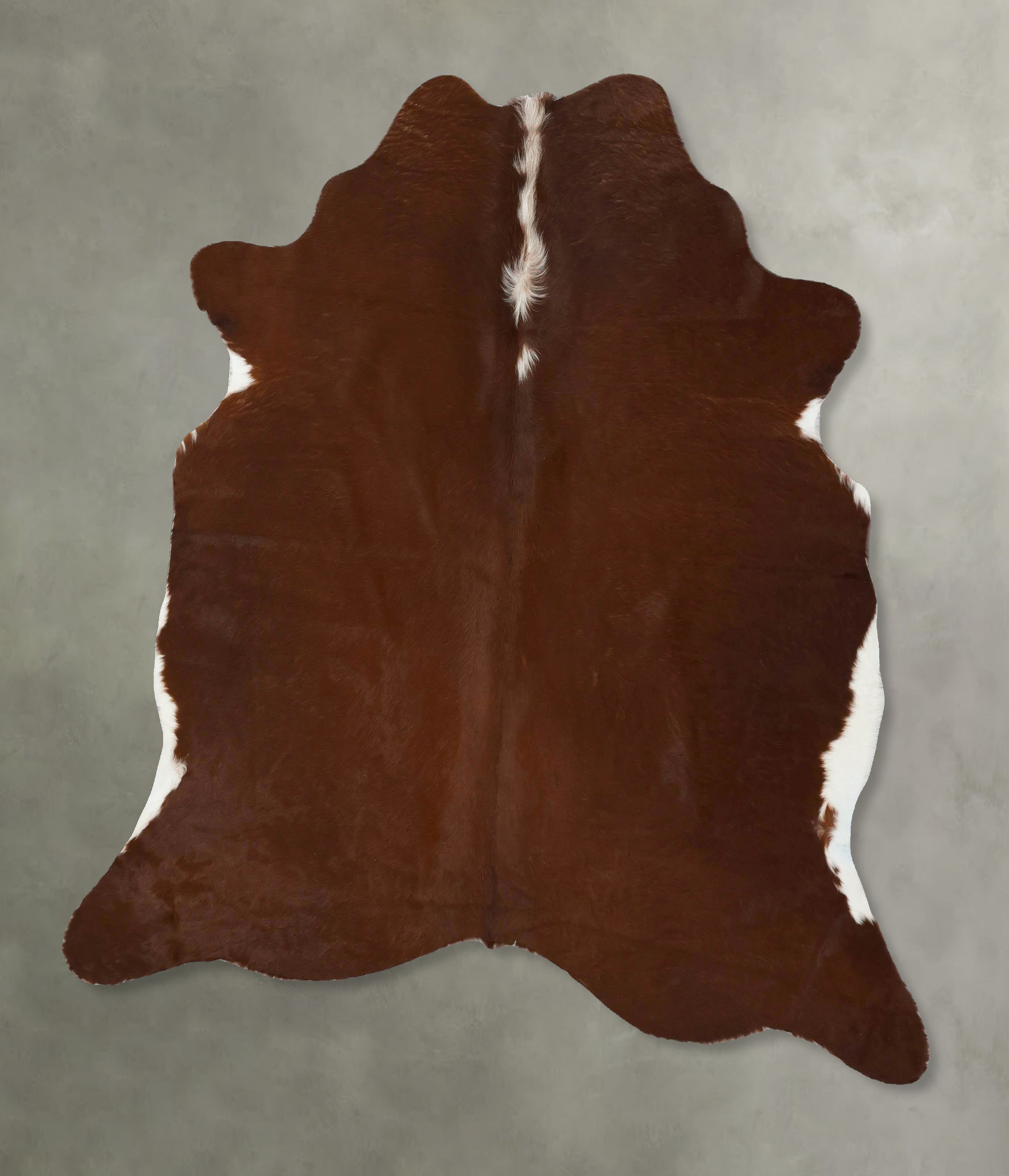 Brown and White Regular Cowhide Rug #B24726