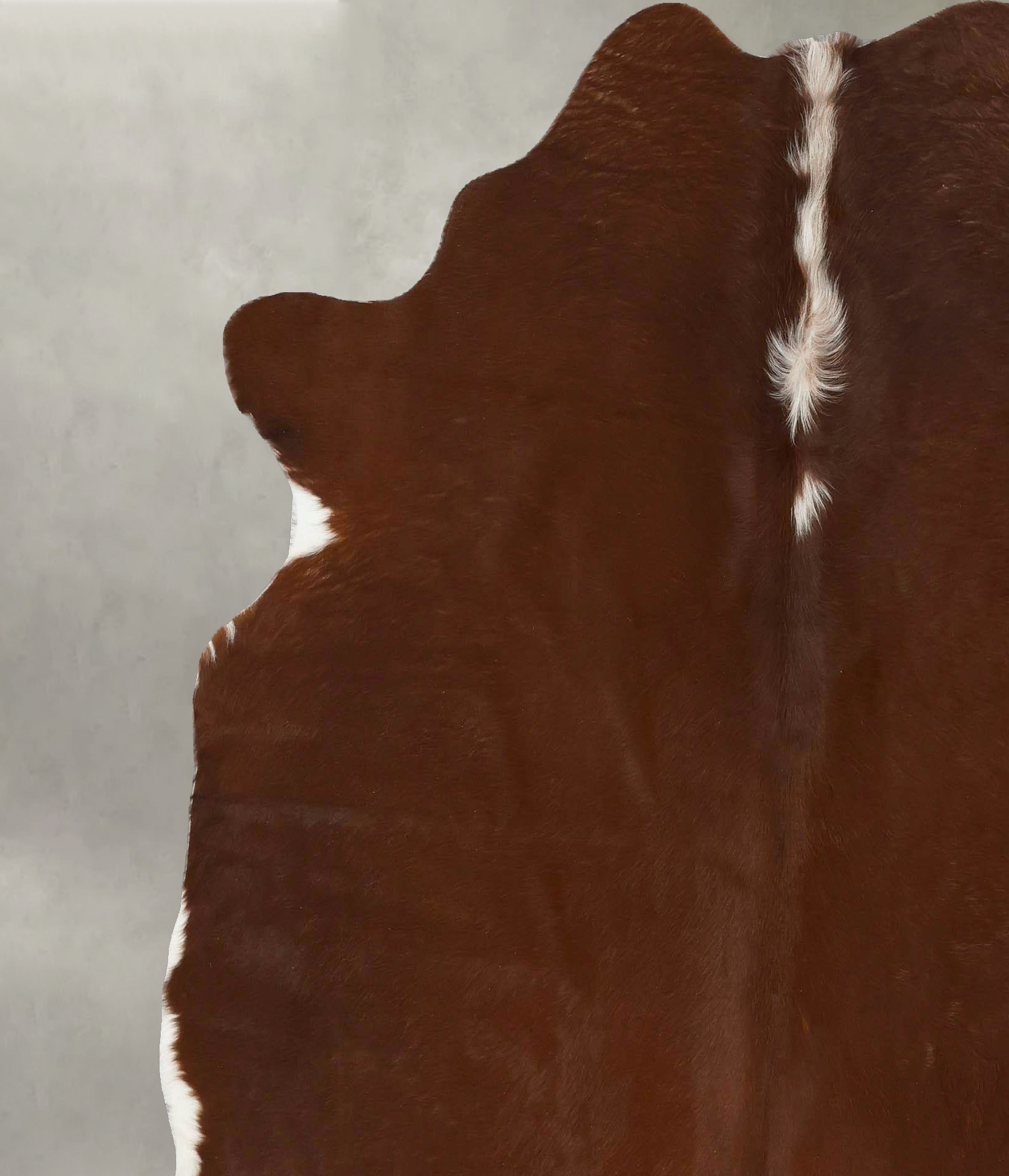 Brown and White Regular Cowhide Rug #B24726