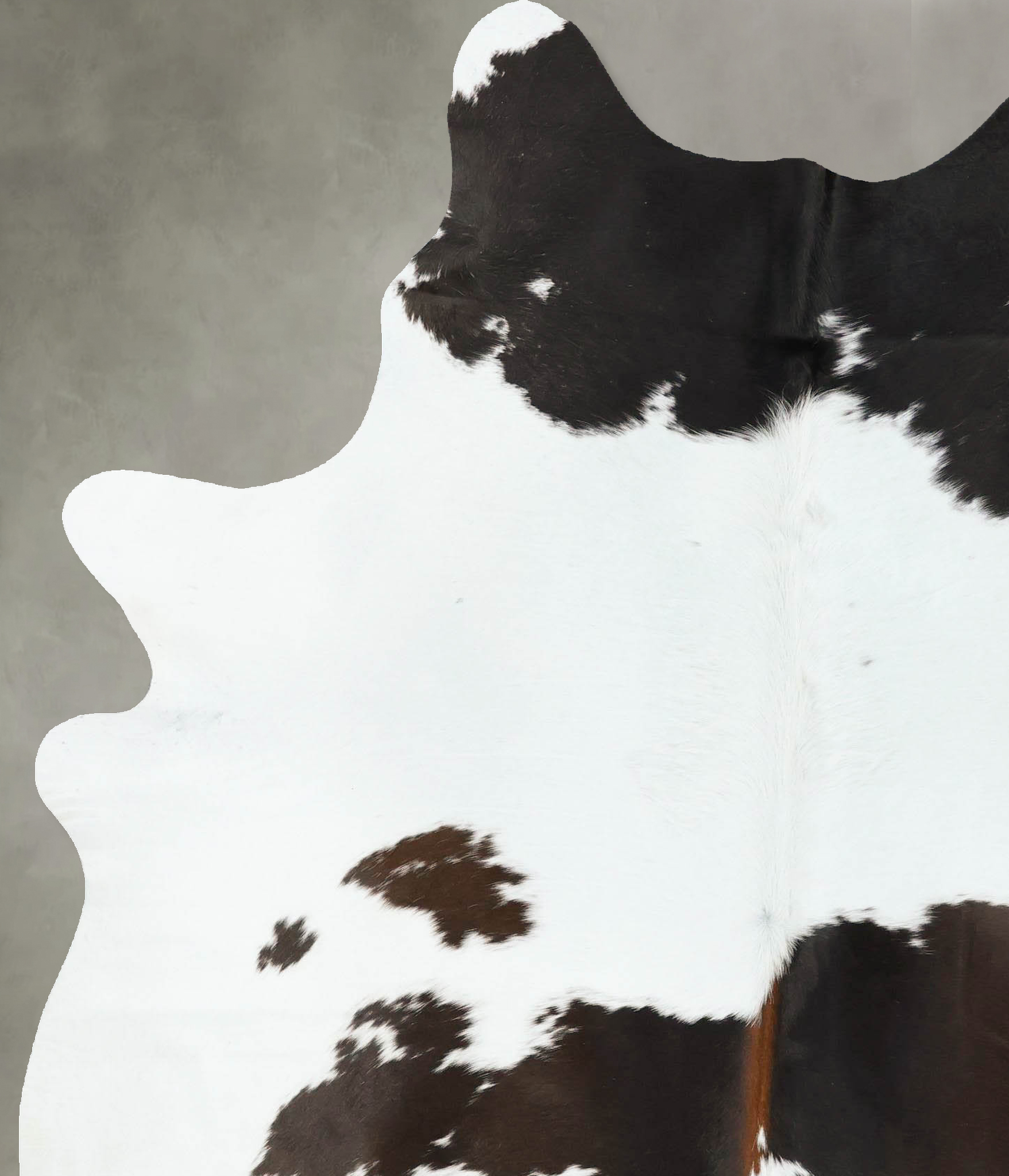 Chocolate and White Cowhide Rug #B24728