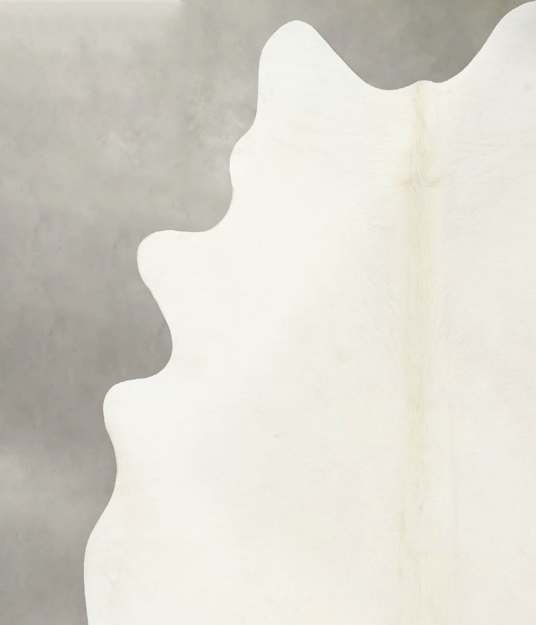 Solid White XX-Large Brazilian Cowhide Rug 7'11"H x 7'4"W #B24746 by H