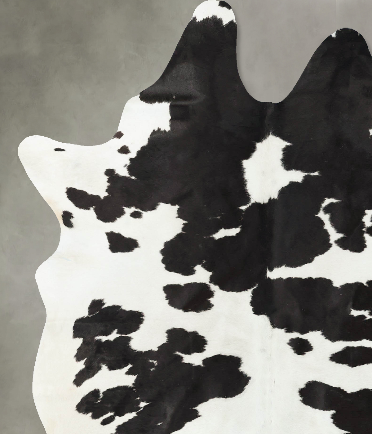 Black and White XX-Large Brazilian Cowhide Rug 8'4"H x 6'2"W #B24749 by Hudson Hides