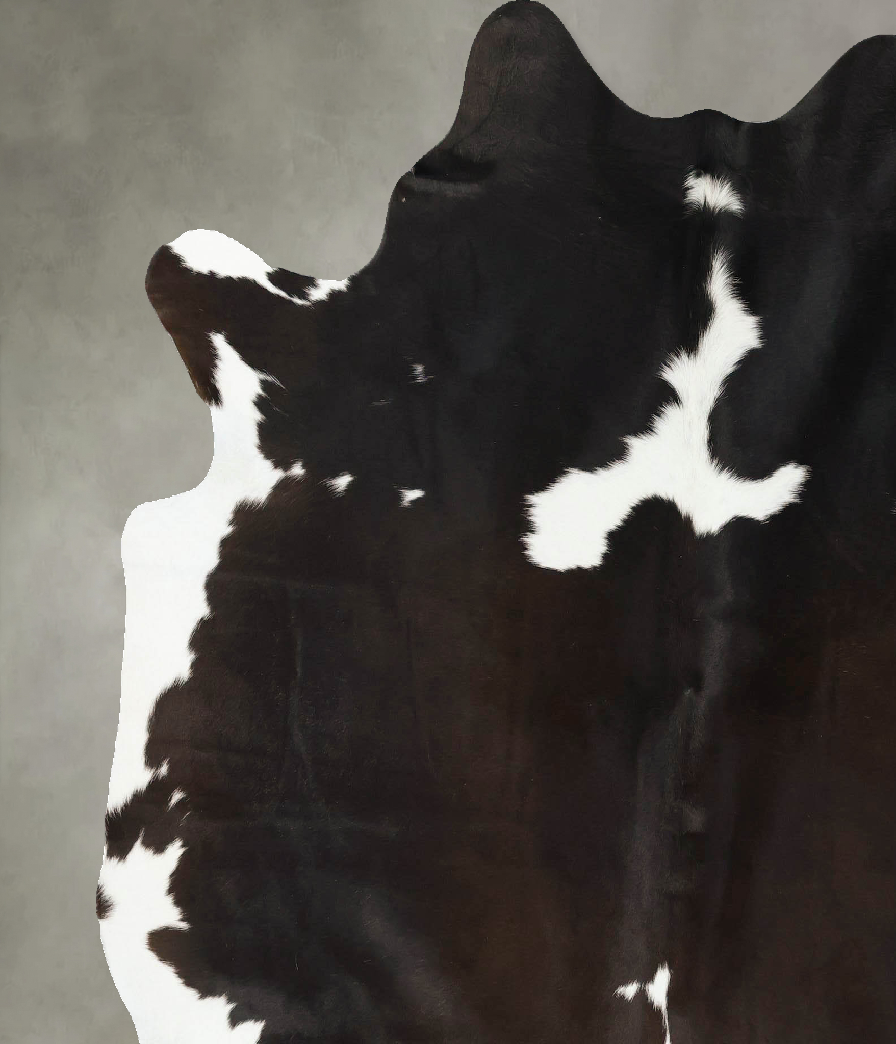 Chocolate and White Cowhide Rug #B24759