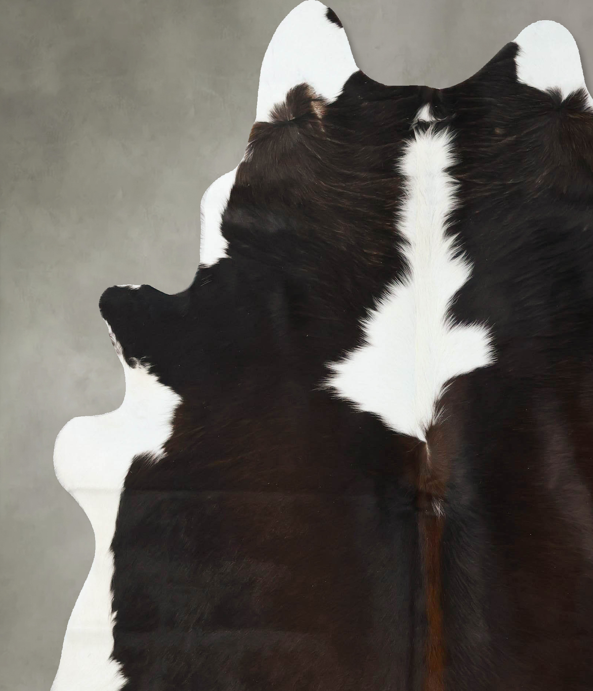 Chocolate and White X-Large Brazilian Cowhide Rug 7'2"H x 6'4"W #B24761 by Hudson Hides