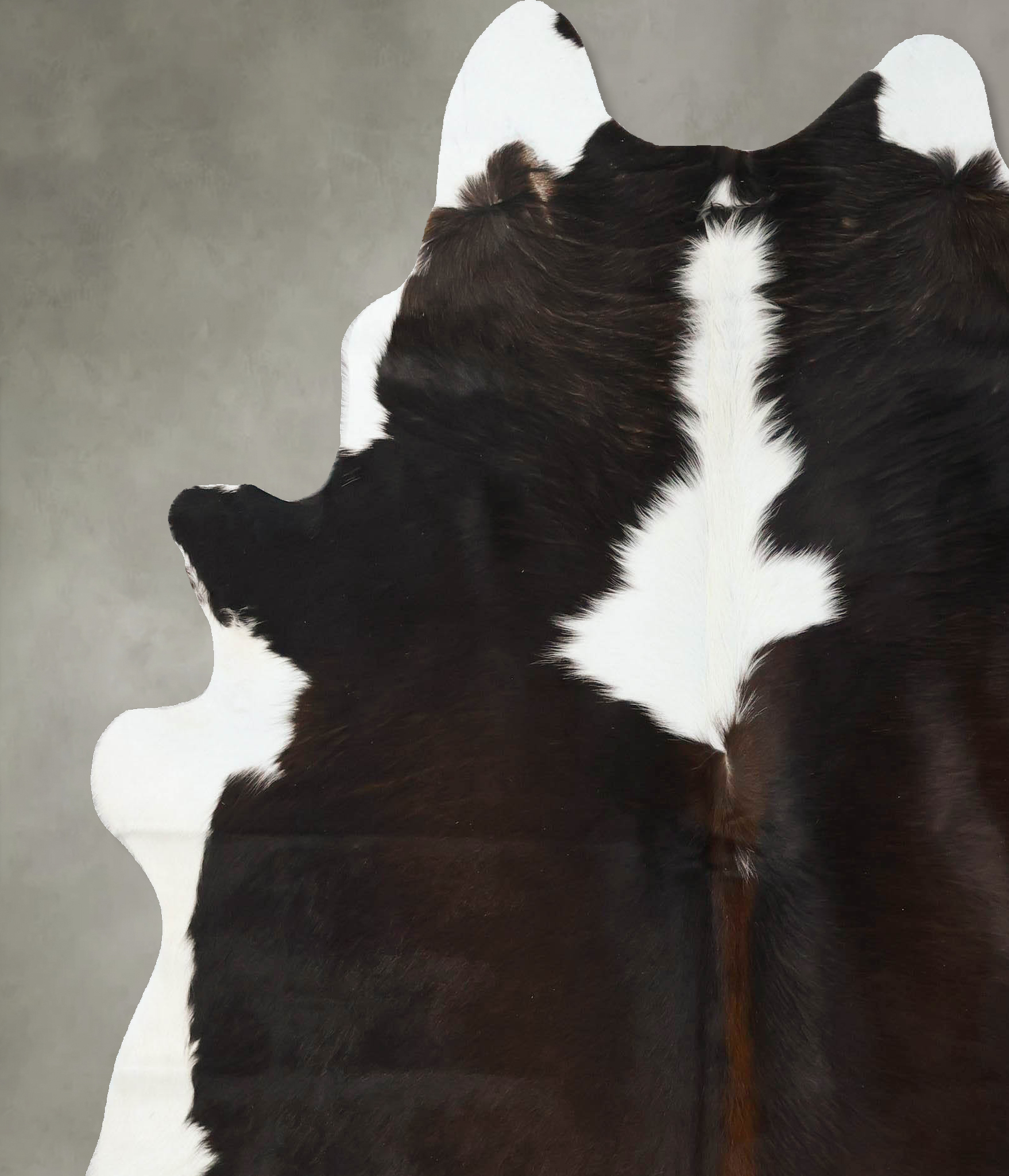 Chocolate and White Cowhide Rug #B24761