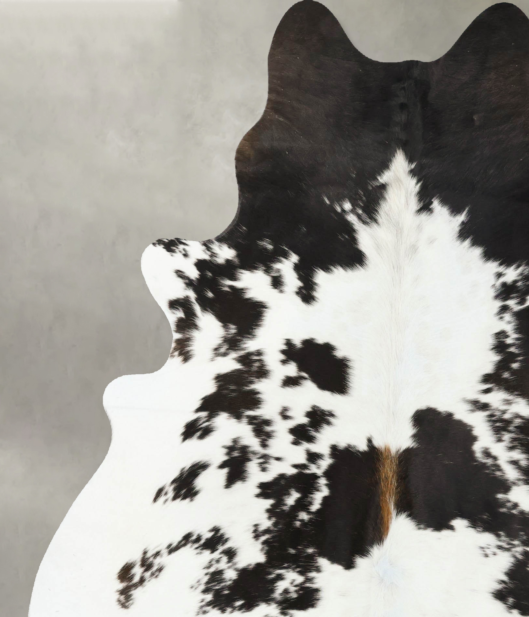 Chocolate and White Cowhide Rug #B24767