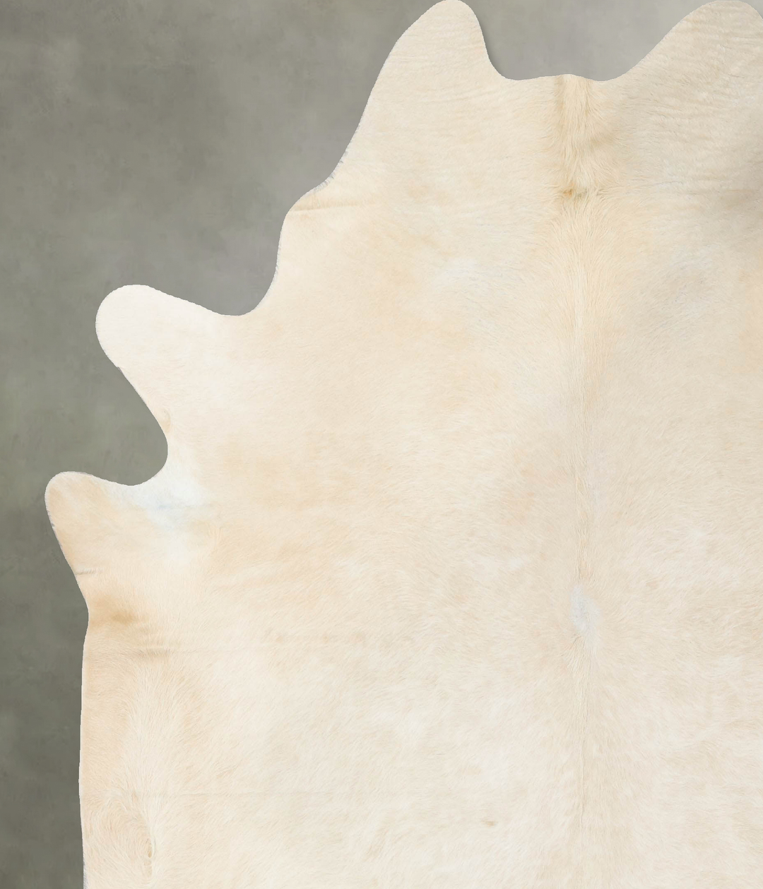 Palomino XX-Large Brazilian Cowhide Rug 8'5"H x 7'3"W #B24808 by Hudso