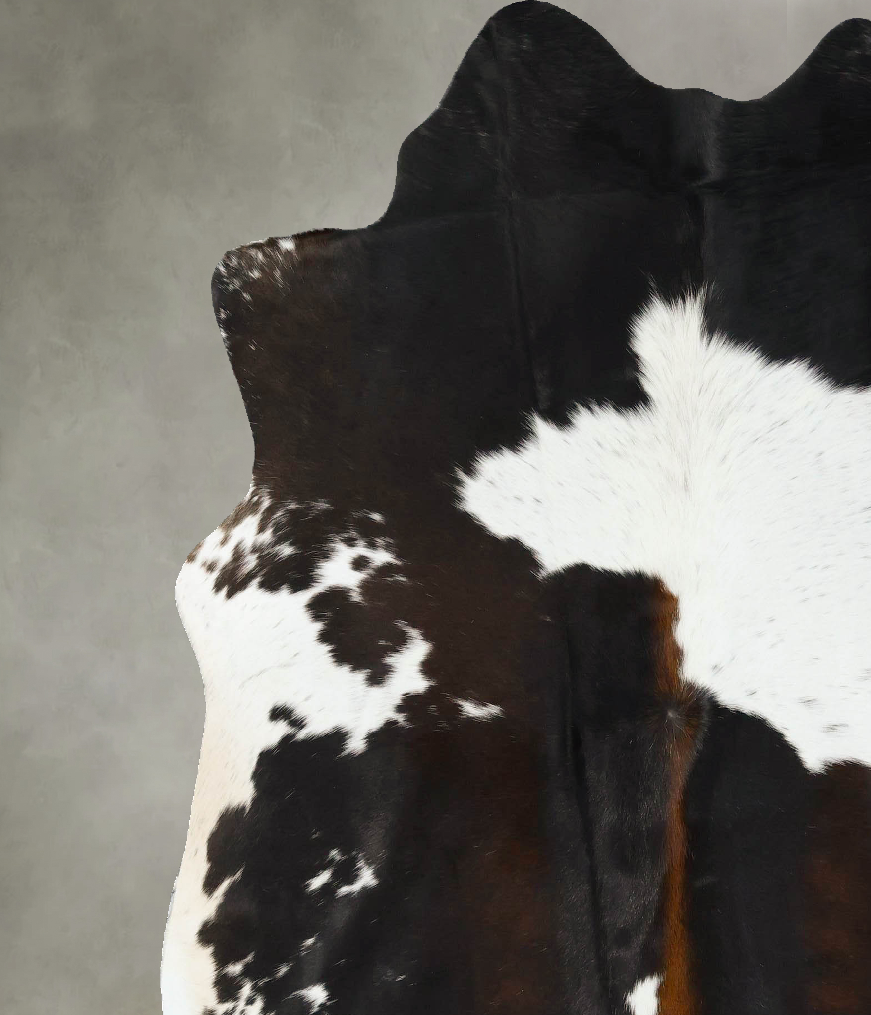 Chocolate and White Cowhide Rug #B24824