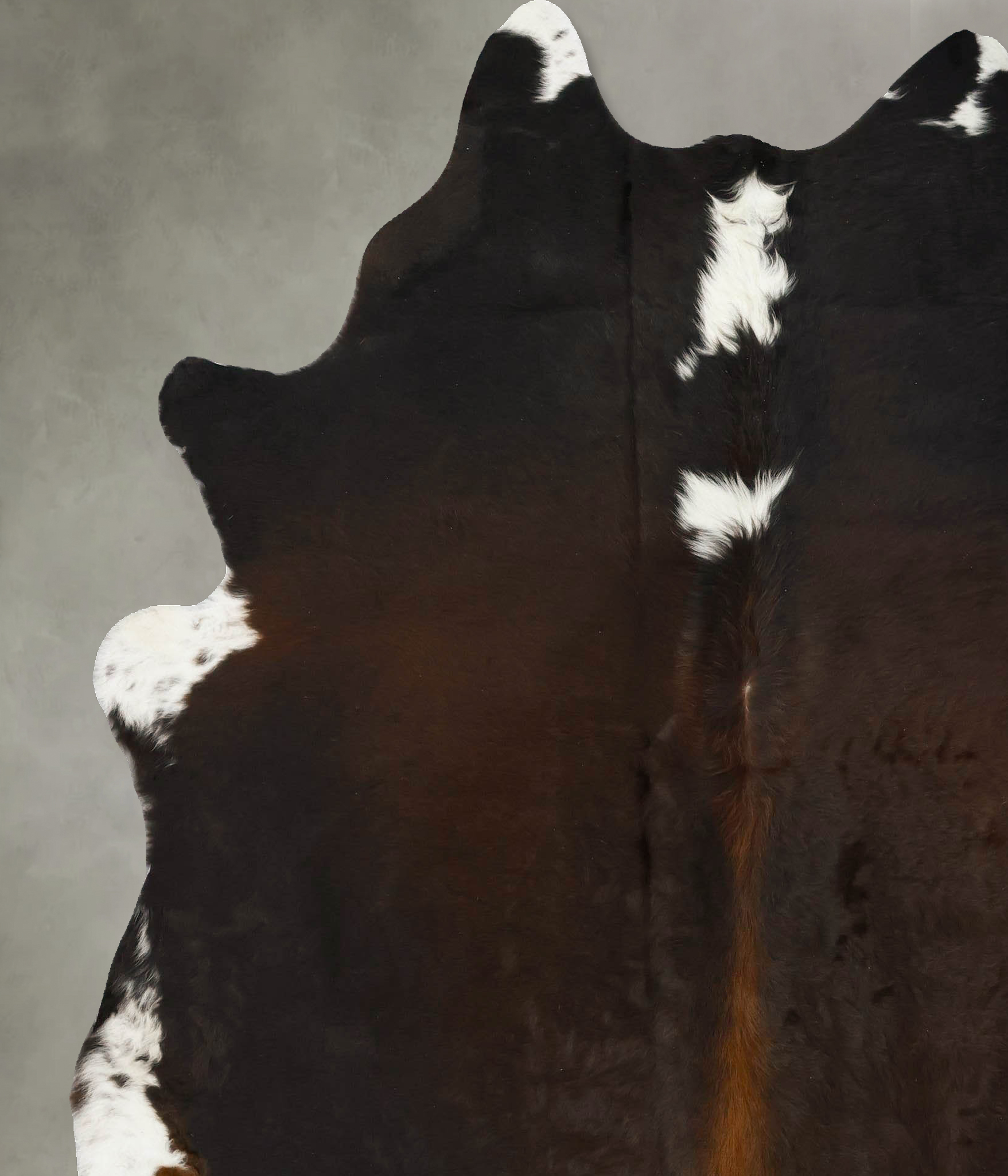 Chocolate and White Cowhide Rug #B24825