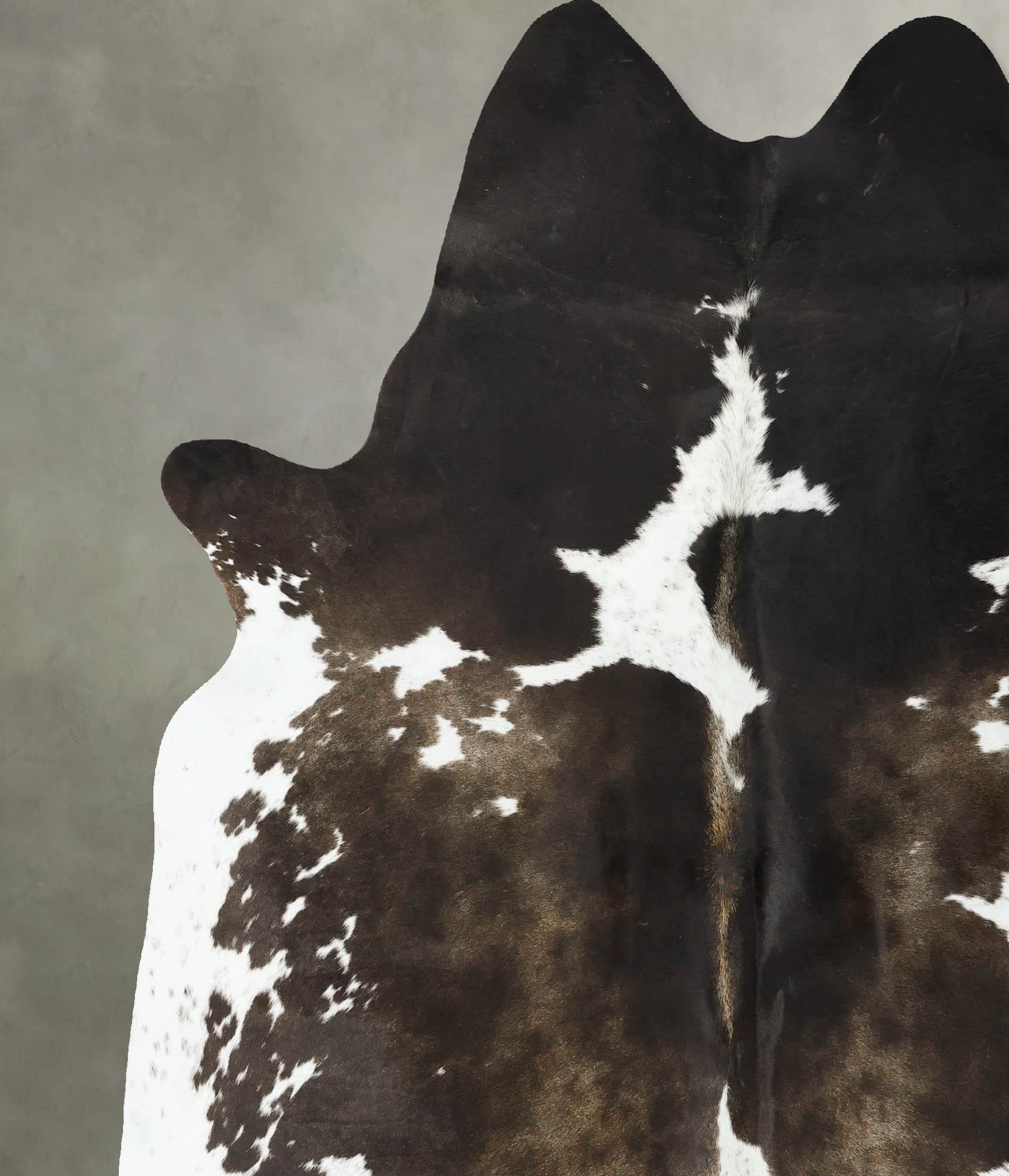 Chocolate and White Cowhide Rug #B24826