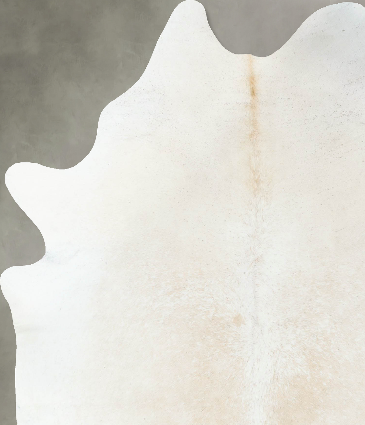Ivory with Beige X-Large Brazilian Cowhide Rug 7'9"H x 5'10"W #B24833 by Hudson Hides