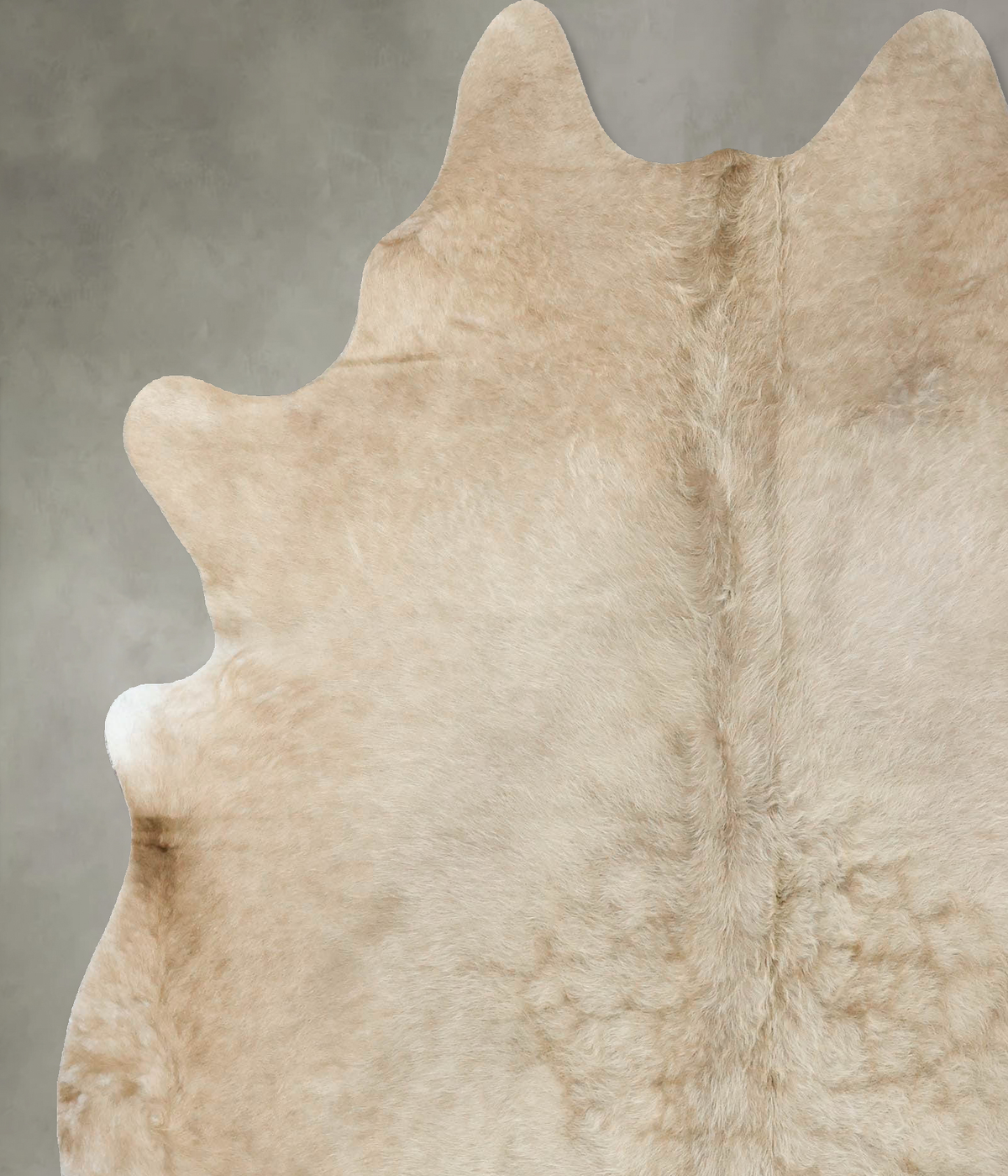 Champagne X-Large Brazilian Cowhide Rug 7'3"H x 6'3"W #B24848 by Hudson Hides