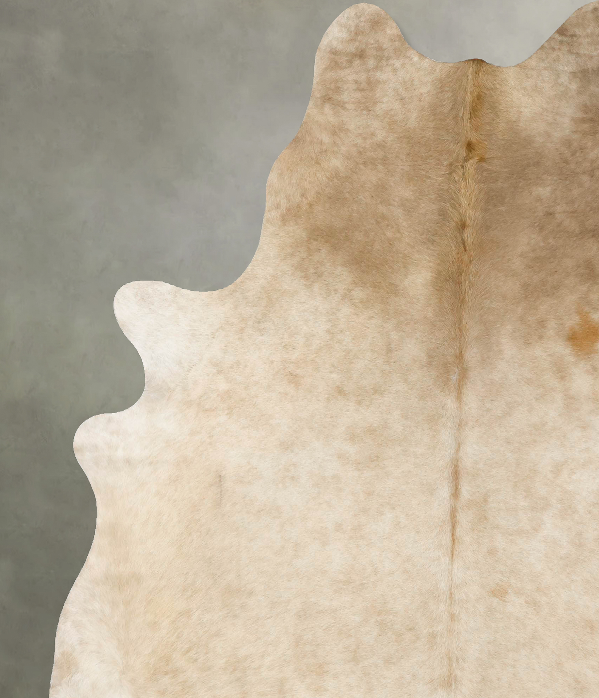 Champagne Cowhide Rug #B24850