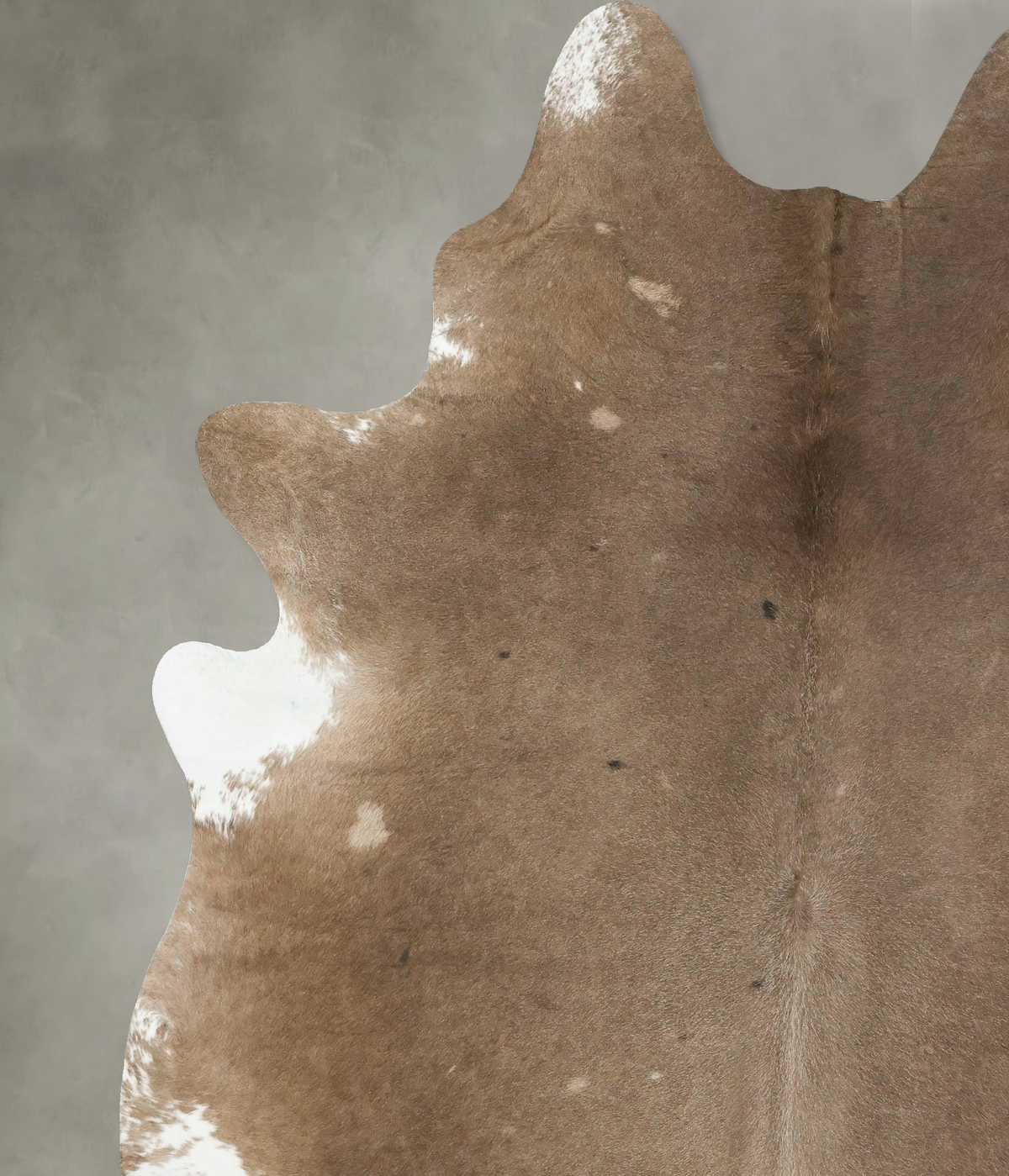 Taupe XX-Large Brazilian Cowhide Rug 8'6"H x 7'0"W #B24852 by Hudson Hides