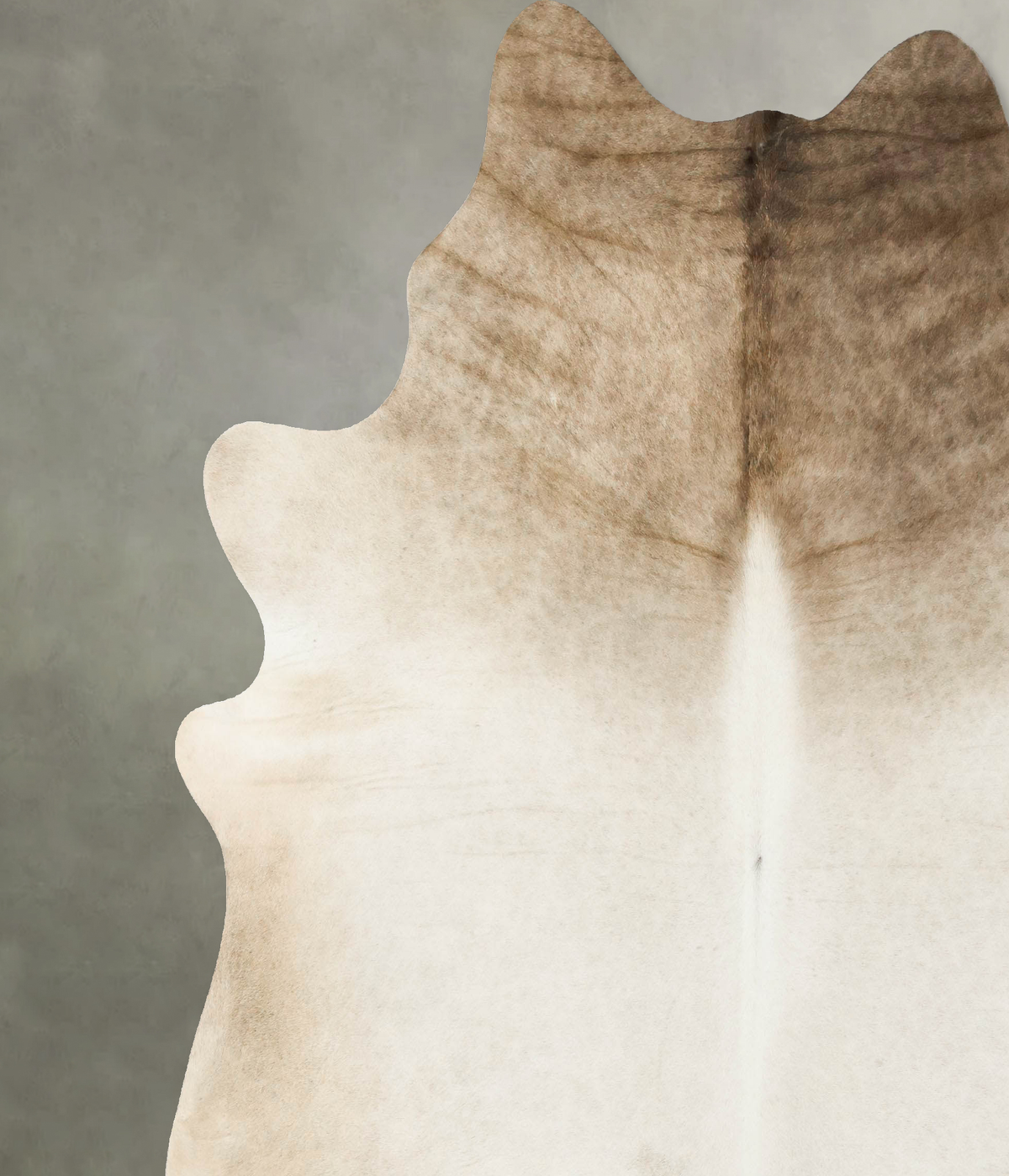 Champagne XX-Large Brazilian Cowhide Rug 8'2"H x 7'7"W #B24853 by Hudson Hides