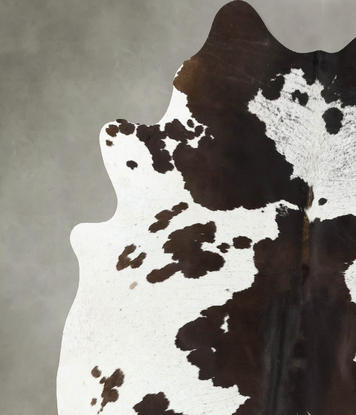 Chocolate and White X-Large Brazilian Cowhide Rug 7'1"H x 6'5"W #B24864 by Hudson Hides