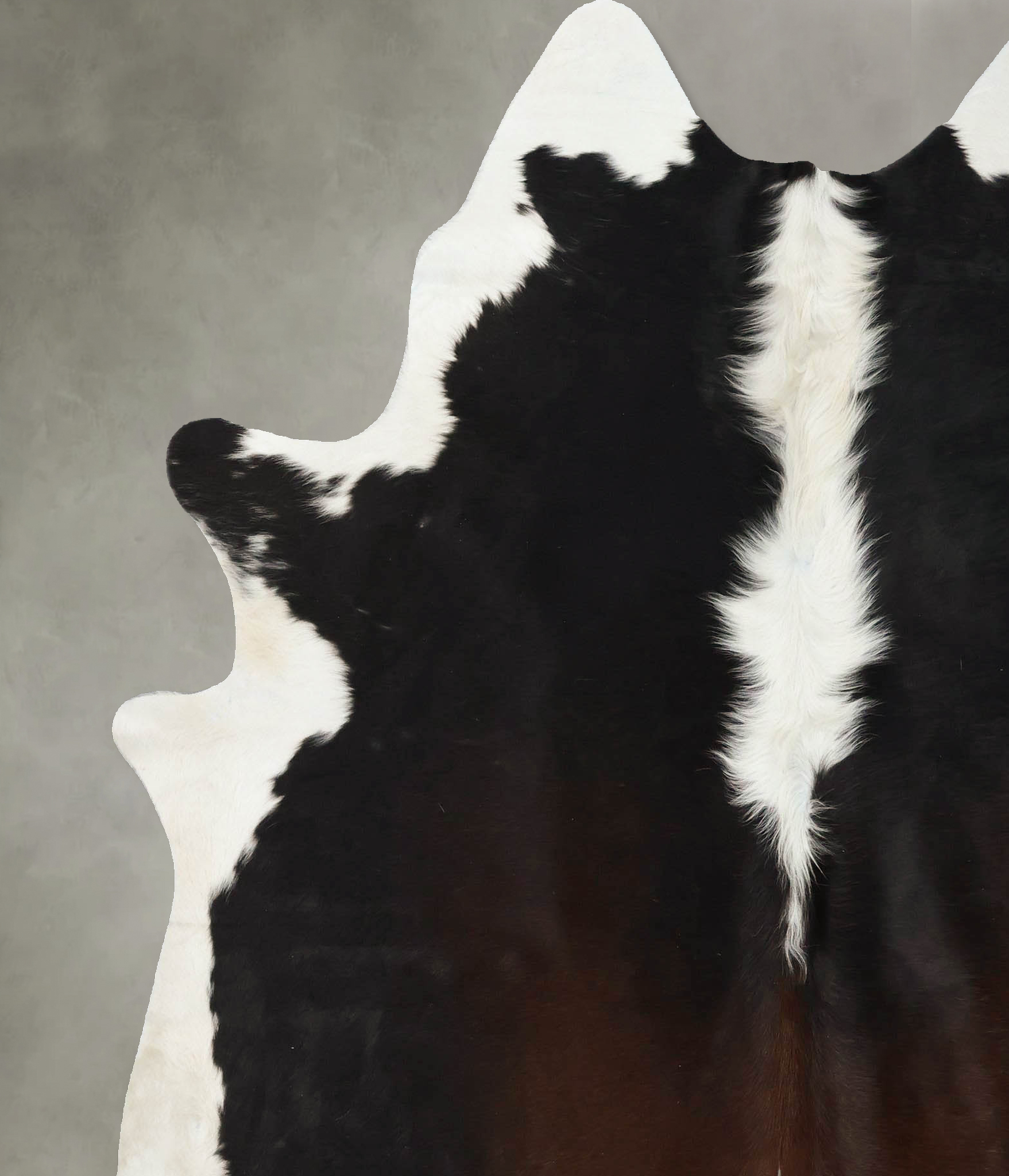 Chocolate and White Cowhide Rug #B24865