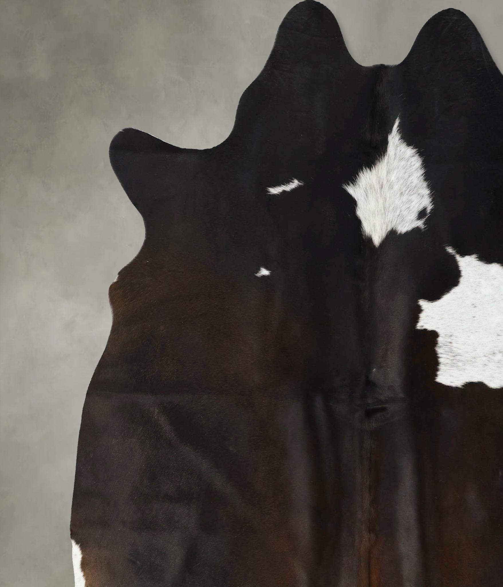 Chocolate and White Cowhide Rug #B24866