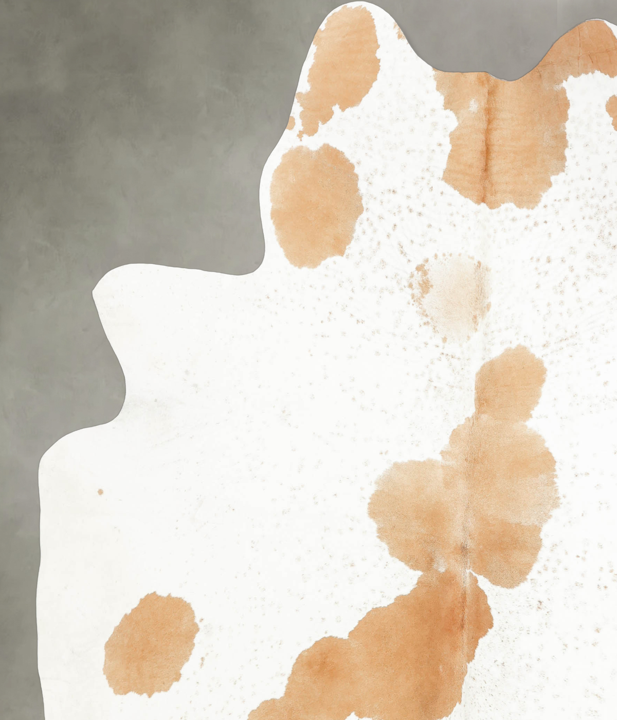 Beige and White XX-Large Brazilian Cowhide Rug 7'7"H x 6'11"W #B2487 by Hudson Hides