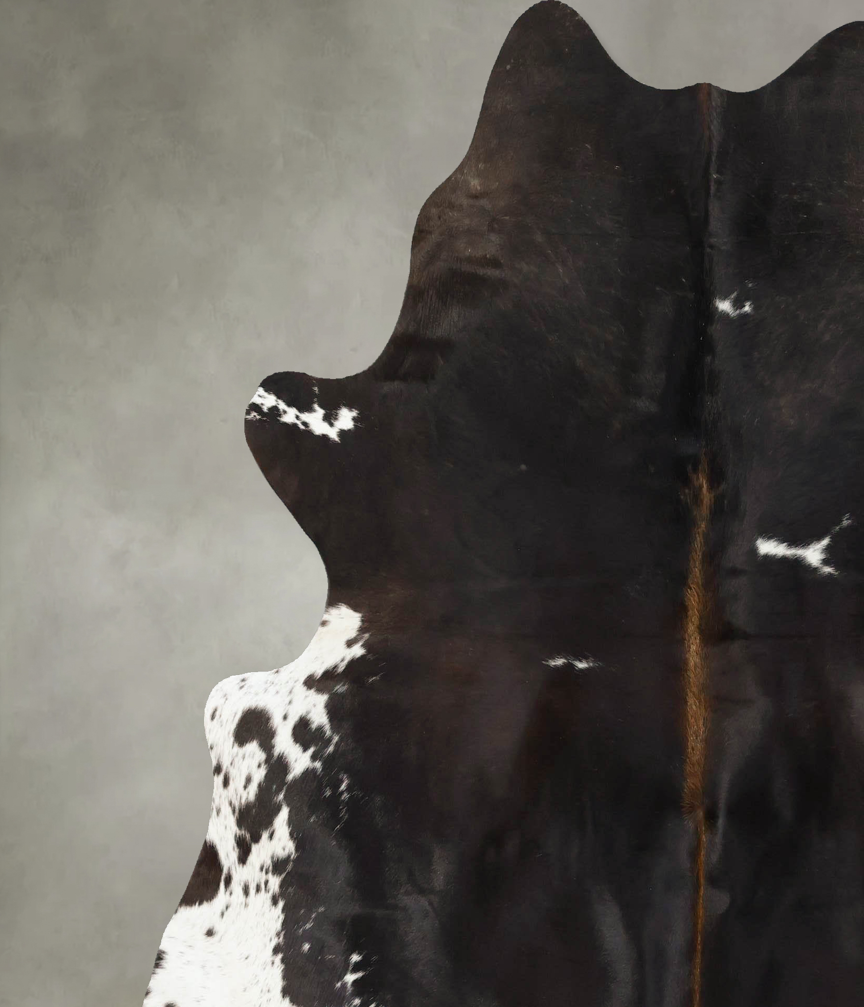 Chocolate and White Cowhide Rug #B24870