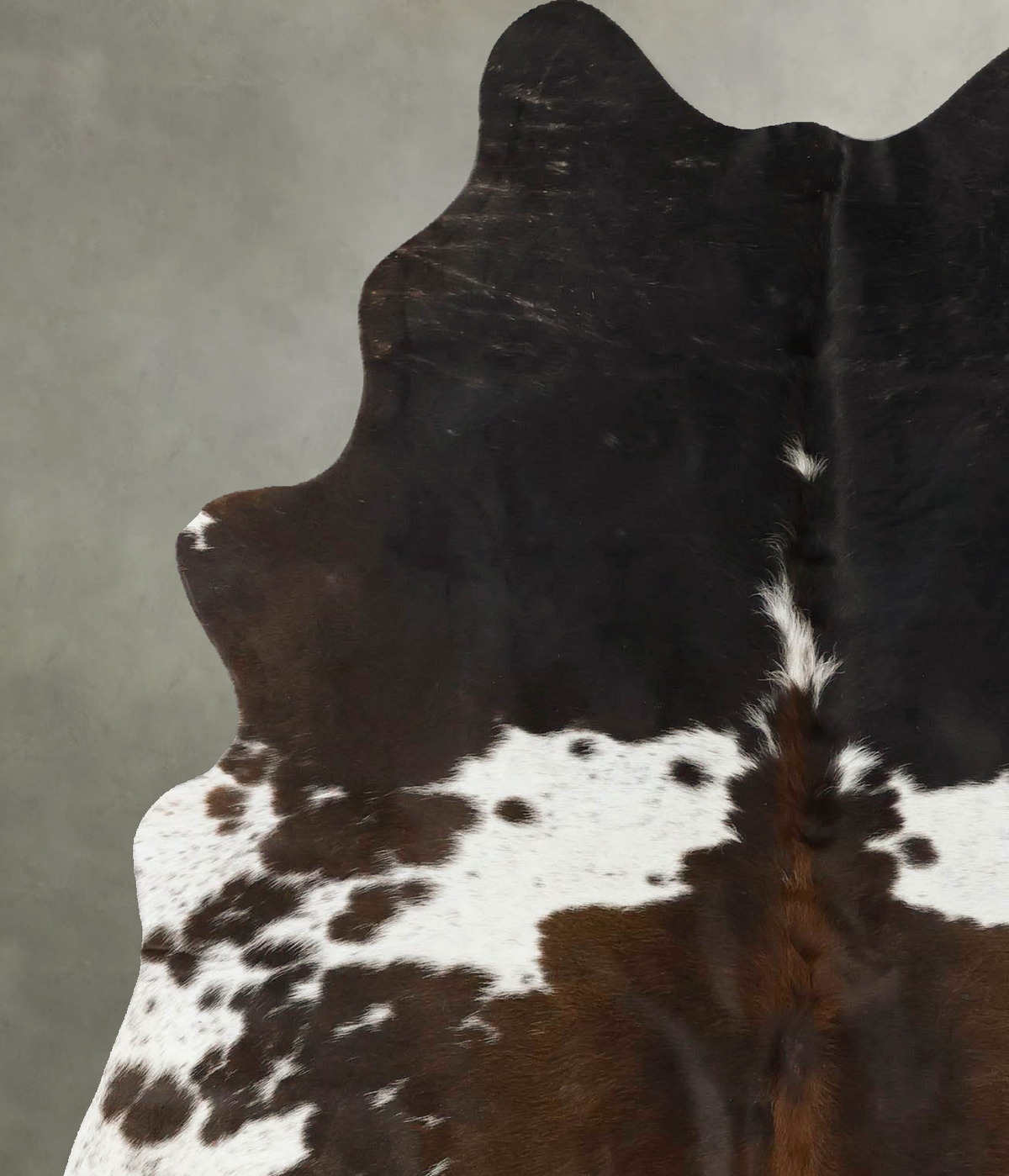 Chocolate and White Large Brazilian Cowhide Rug 6'6"H x 5'1"W #B24872 by Hudson Hides