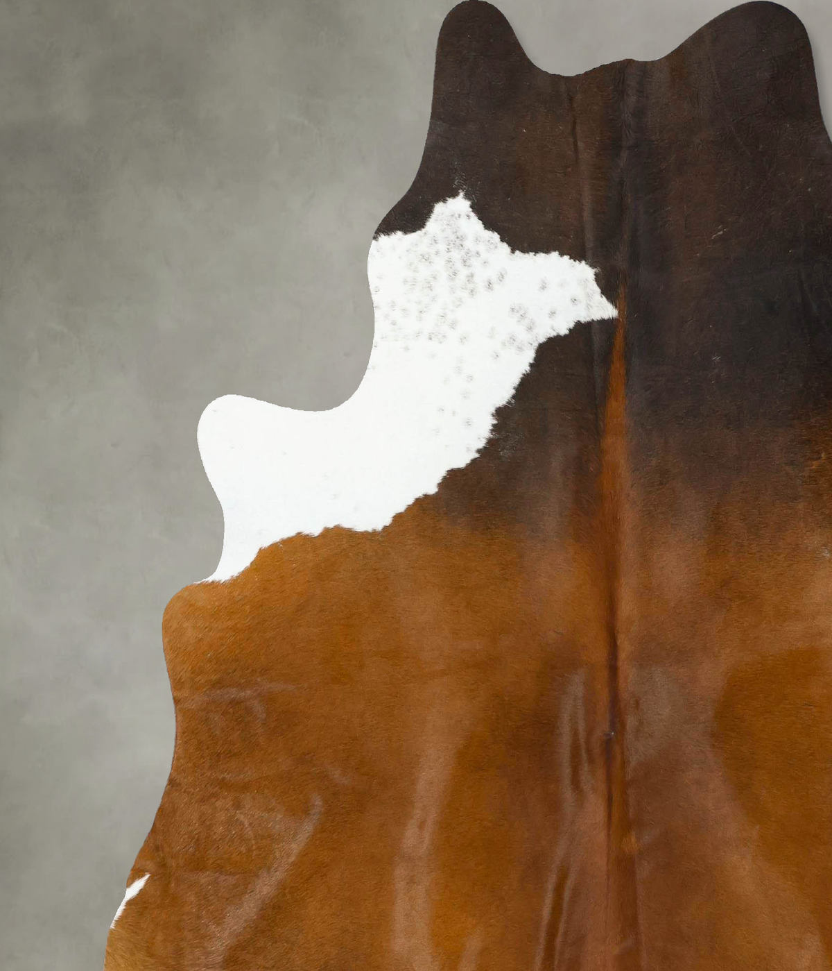 Chocolate and White X-Large Brazilian Cowhide Rug 7'1"H x 6'6"W #B24873 by Hudson Hides