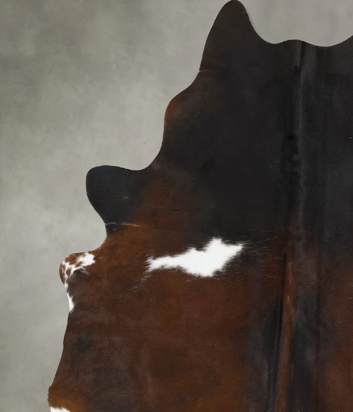 Chocolate and White X-Large Brazilian Cowhide Rug 7'3"H x 5'11"W #B24882 by Hudson Hides