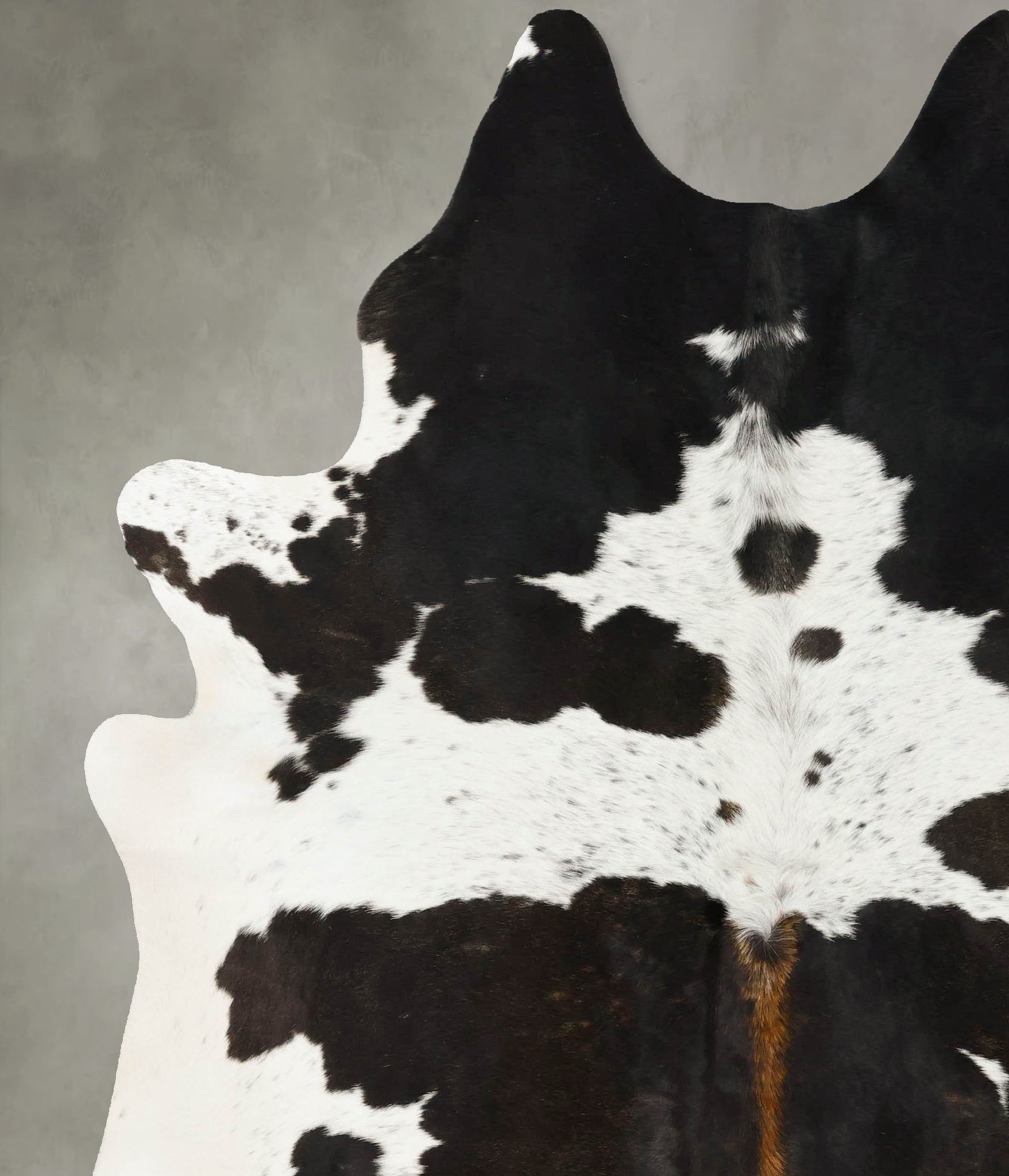 Chocolate and White Cowhide Rug #B24883